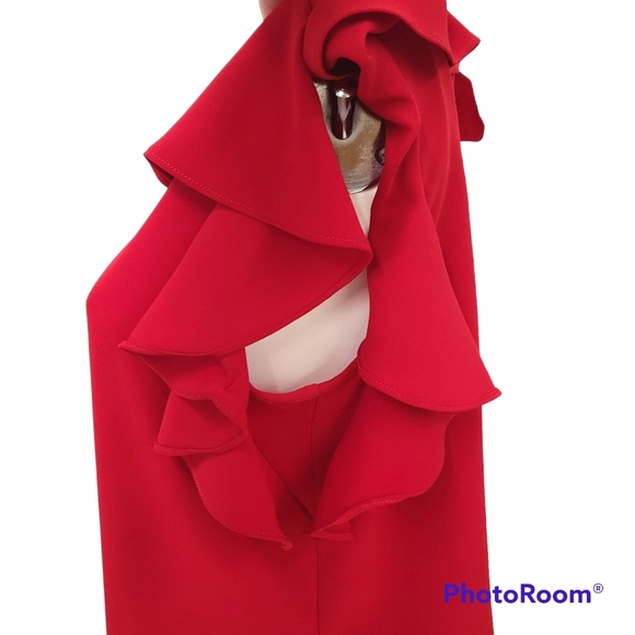 Amanda Uprichard Red Ruffle Sleeve Bouse size Small - Picture 6 of 11